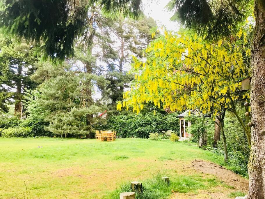 The Beeches Studio, Highlands Of Scotland Newtonmore Exteriör bild