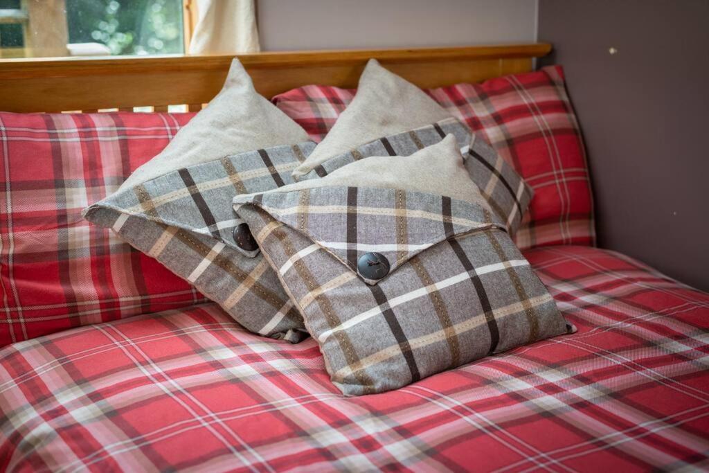 The Beeches Studio, Highlands Of Scotland Newtonmore Exteriör bild