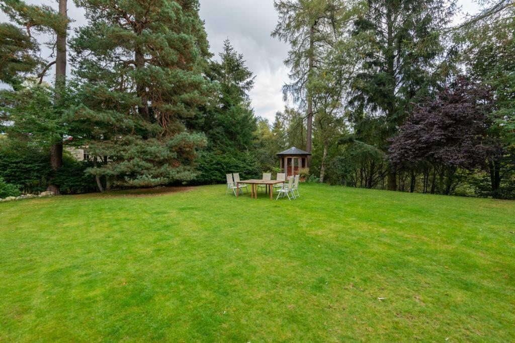 The Beeches Studio, Highlands Of Scotland Newtonmore Exteriör bild