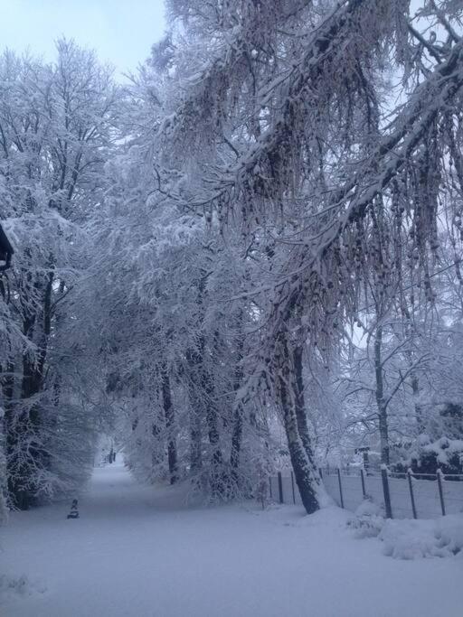 The Beeches Studio, Highlands Of Scotland Newtonmore Exteriör bild