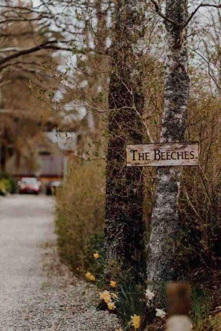 The Beeches Studio, Highlands Of Scotland Newtonmore Exteriör bild