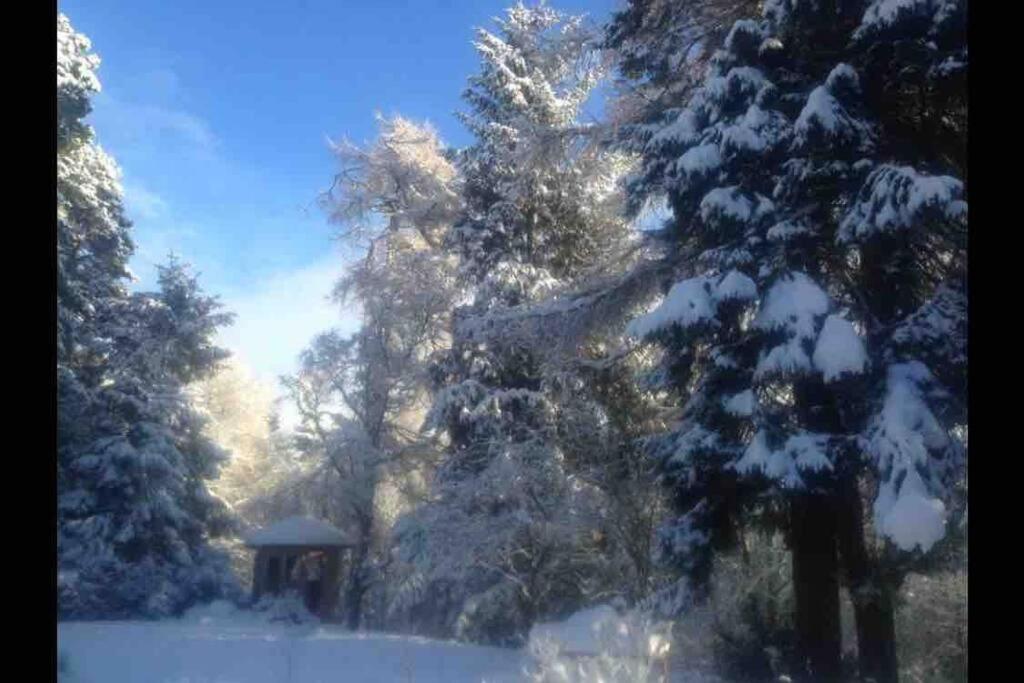 The Beeches Studio, Highlands Of Scotland Newtonmore Exteriör bild